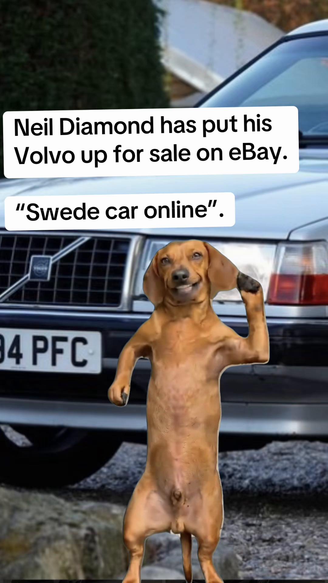 @The_Lavells