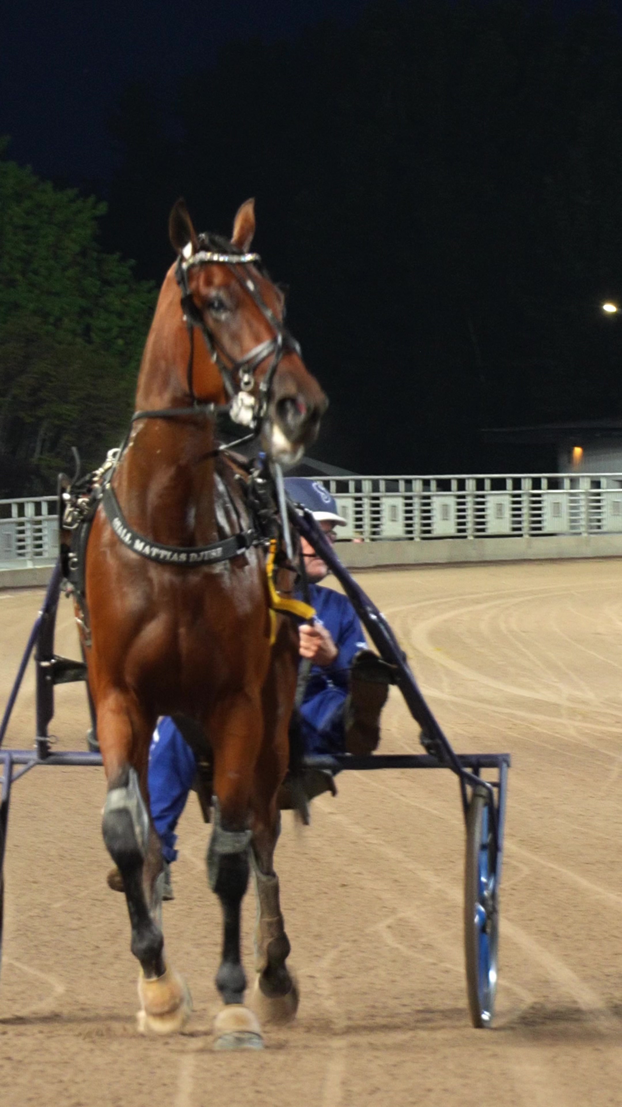 @Solvalla