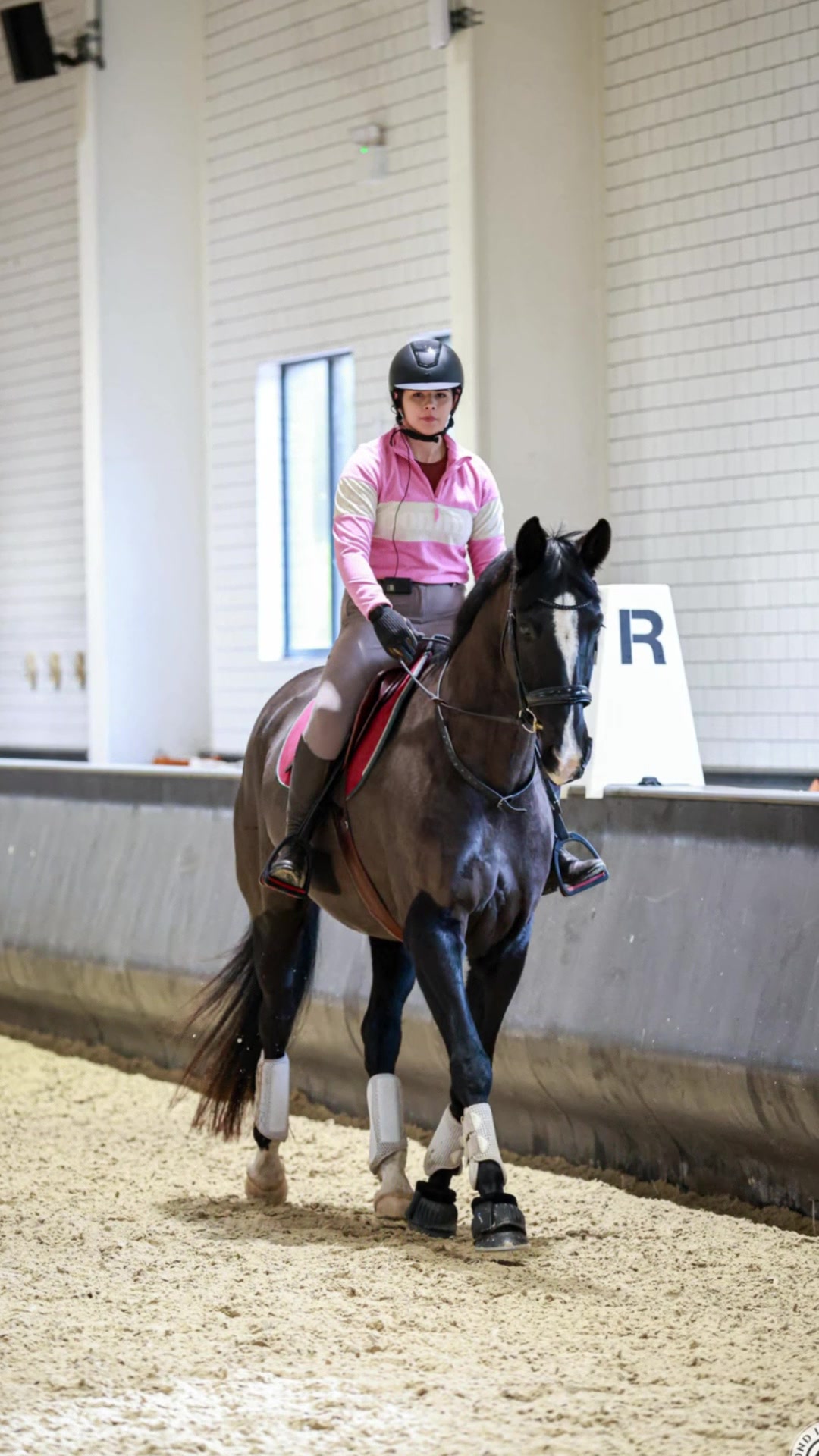 @Horses_with_Narni