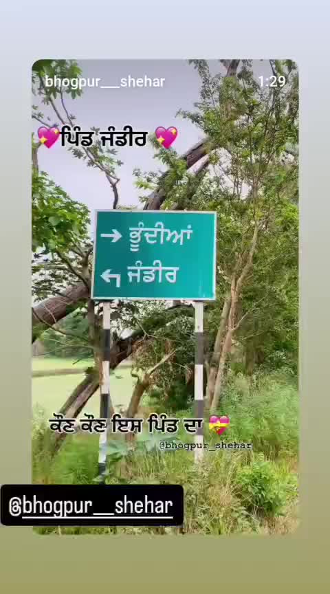 @officialnavzgurayaa_0