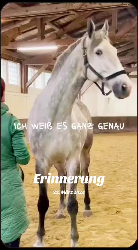 @Conny & The Grey Desaster
