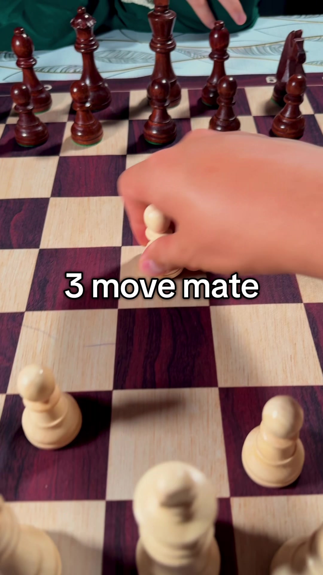 @Checkmate| chess