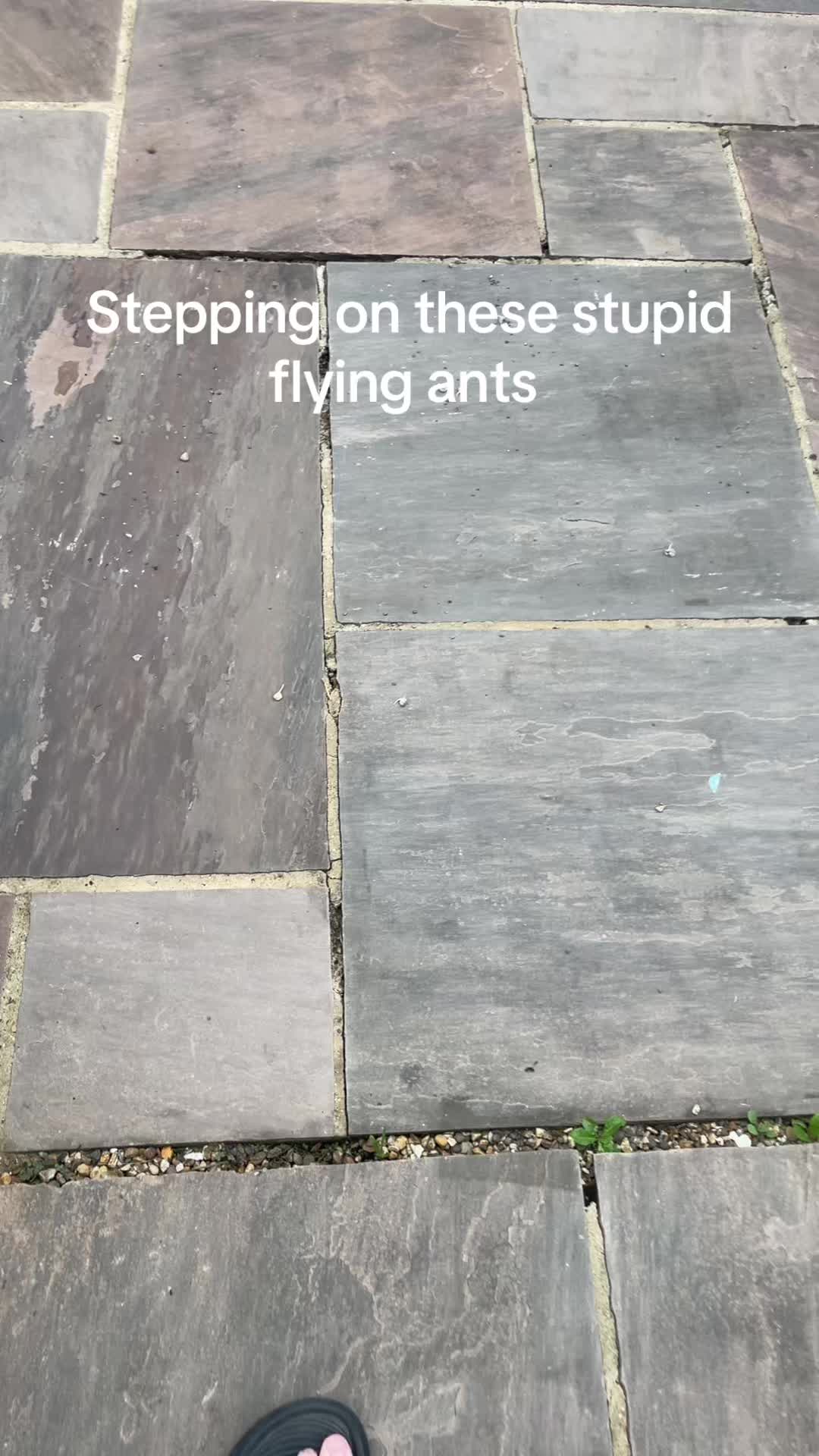 @darcey 