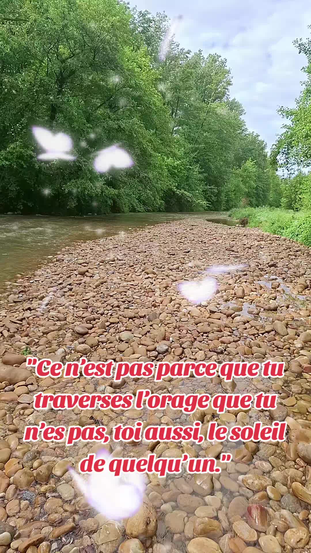 @luffy 974