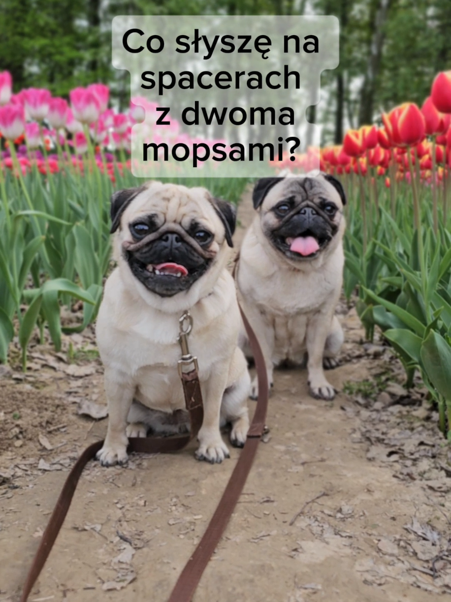 @Wesołe pieczywo