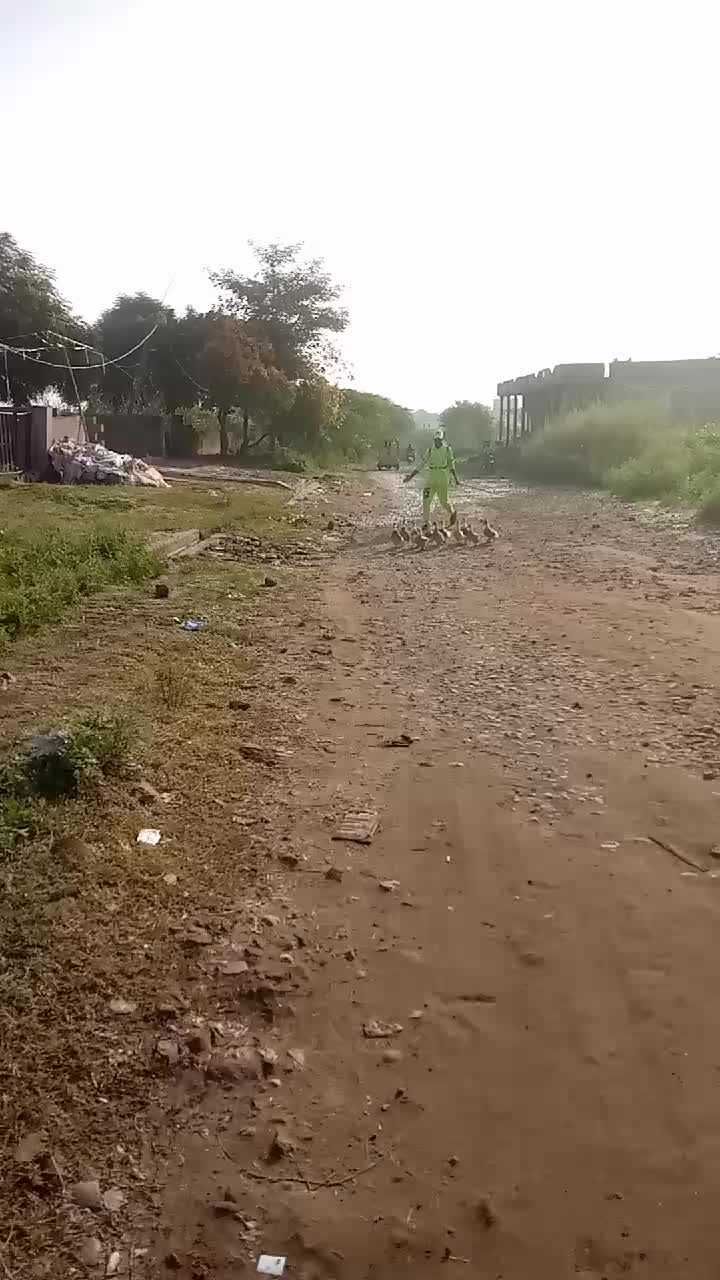 @wajid ali bop