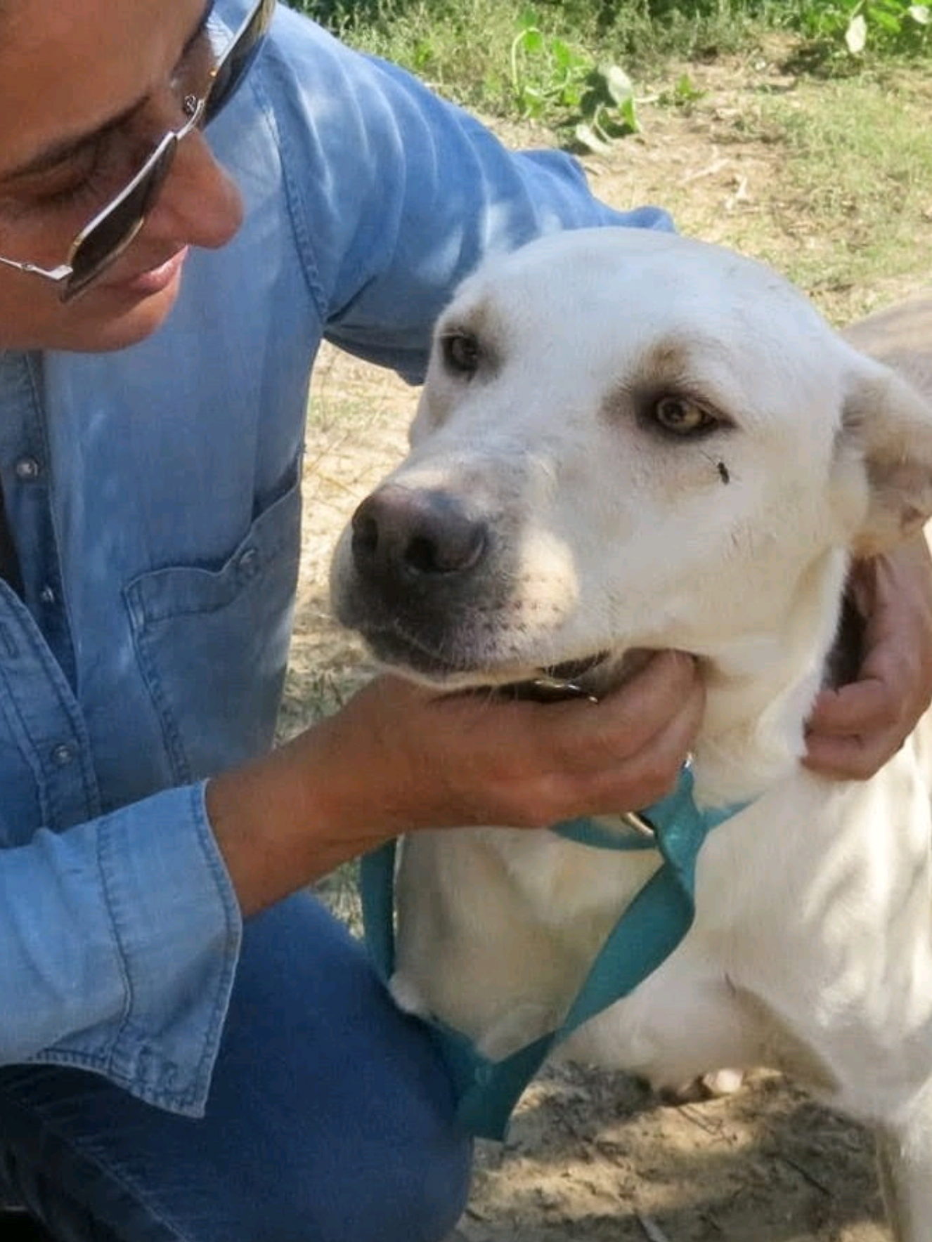 @Greek Animal Rescue
