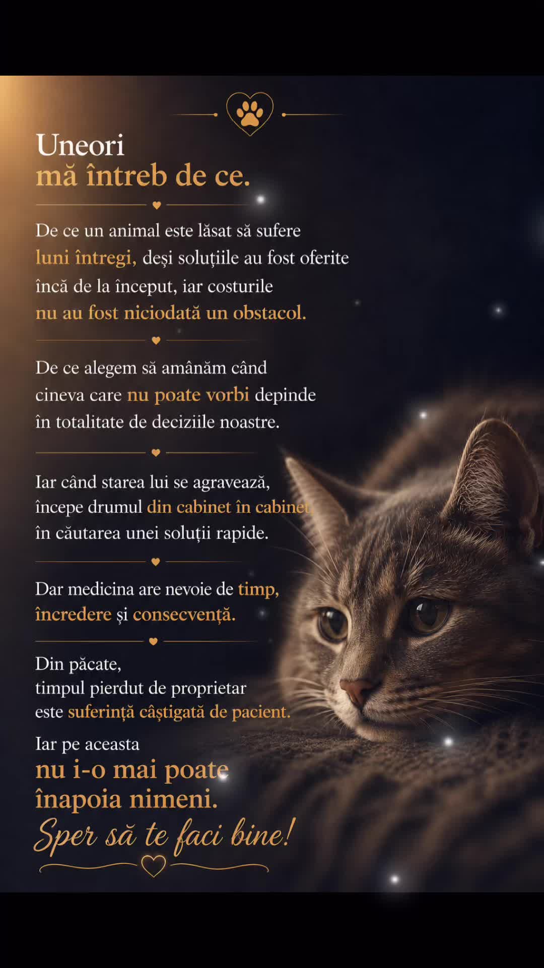 @Ecco-Vet by Dr. Diana Oprea