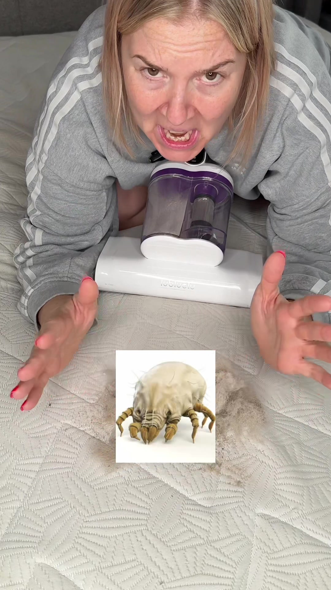 @✨💫⭐️𝕙𝕒𝕡𝕡𝕪𝕞𝕠𝕣𝕘𝕤⭐️💫✨