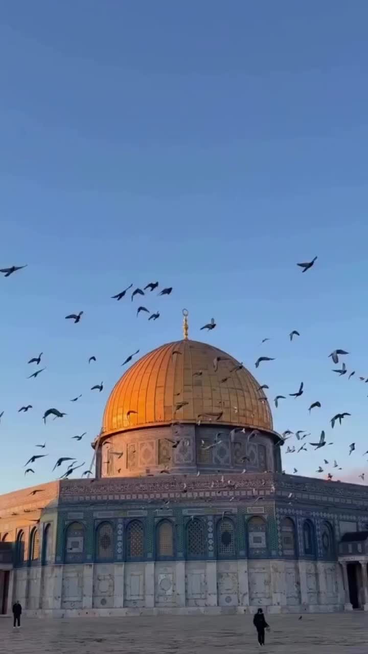 @AlhambraDesigns