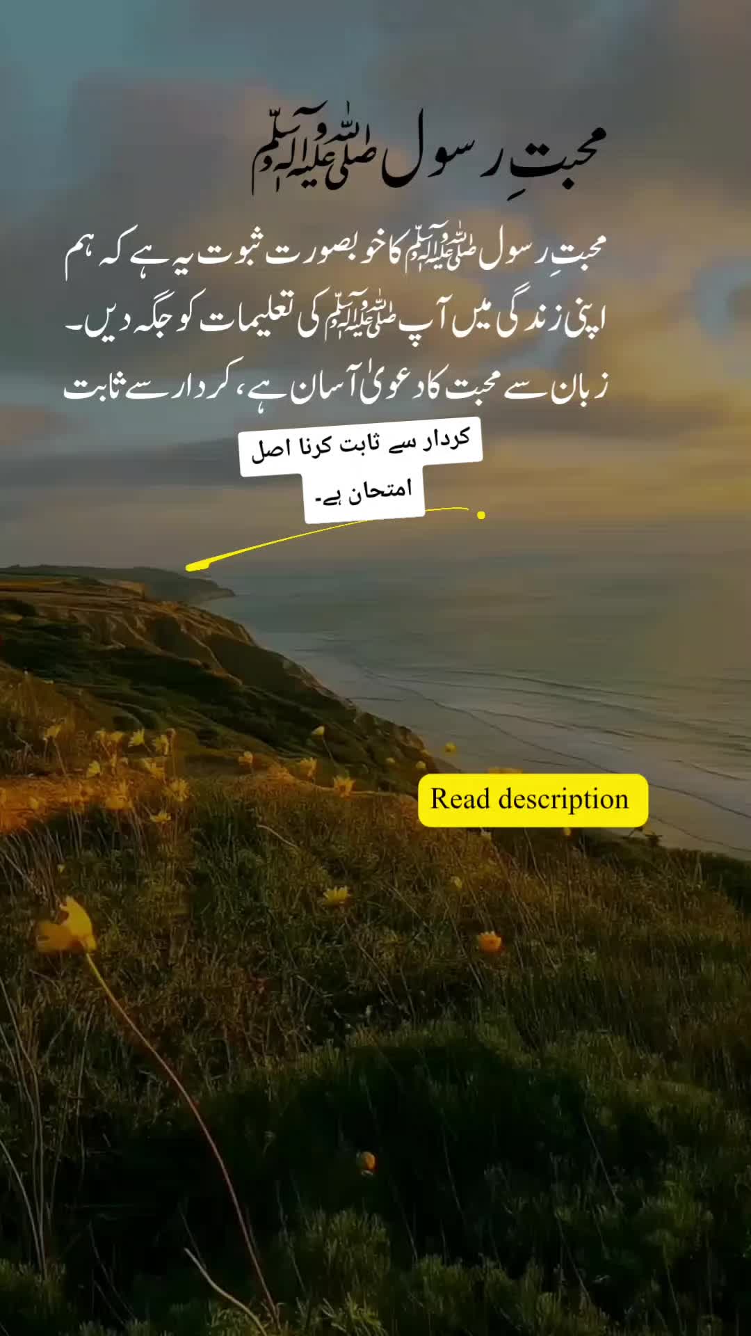 @𝑰𝒏𝒏𝒐𝒄𝒆𝒏𝒕 𝑴𝒂𝒍𝒊𝒌 🥀