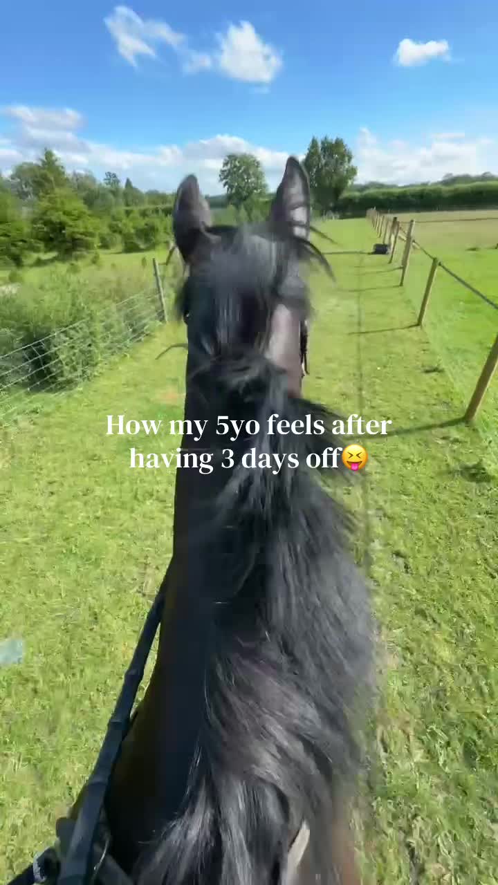 @sophielindsay.eq6