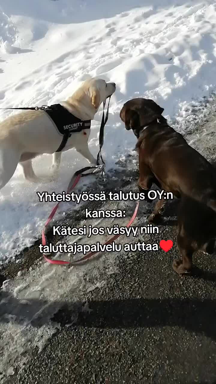 @🖤 𝔐𝔘&real;𝔐𝔈𝔏&image;🖤