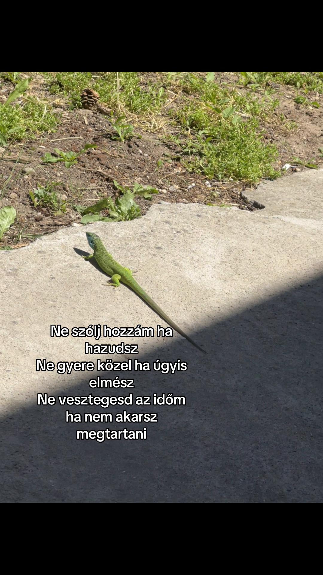 @NIKOLETTA15.