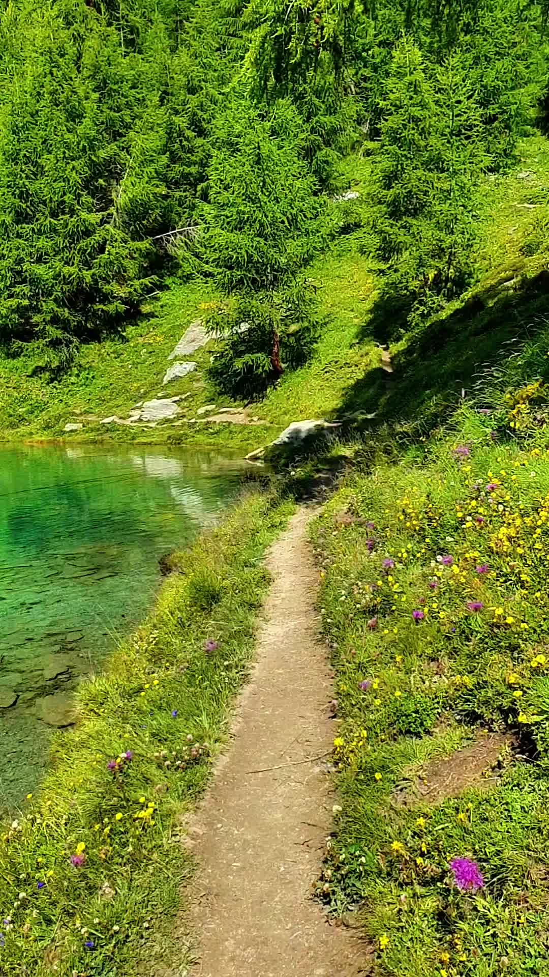 @btswiss