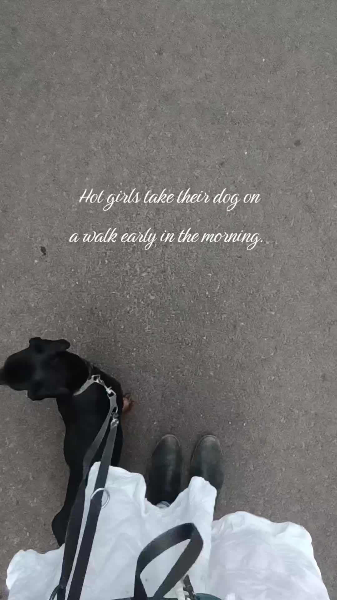 @𝒮𝒾𝓁𝓀 𝓀𝒾𝓉𝓉𝑒𝓃 🩷🐈&zwj;⬛🪽
