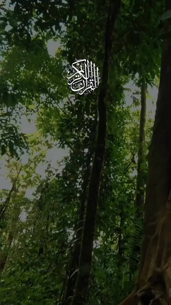 @🦋𝓝ᴏᴏʀᴜʟᴀɪɴ🕊