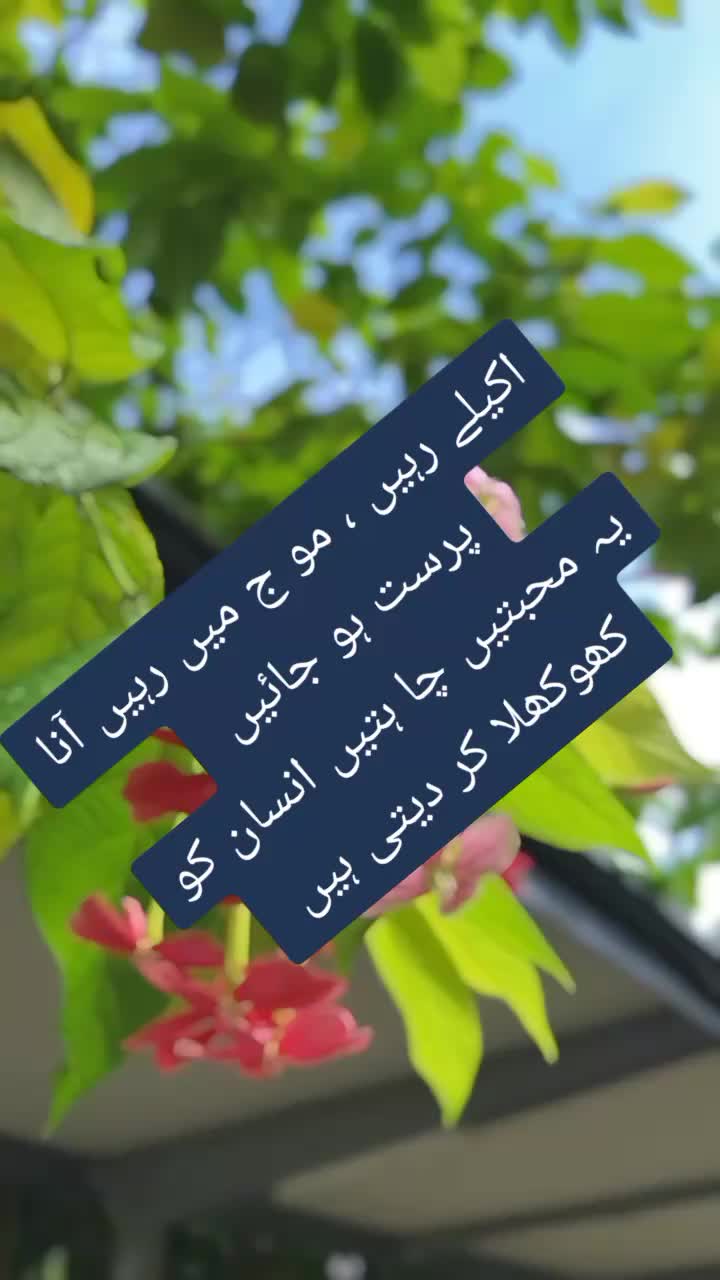 @ishq ibadat