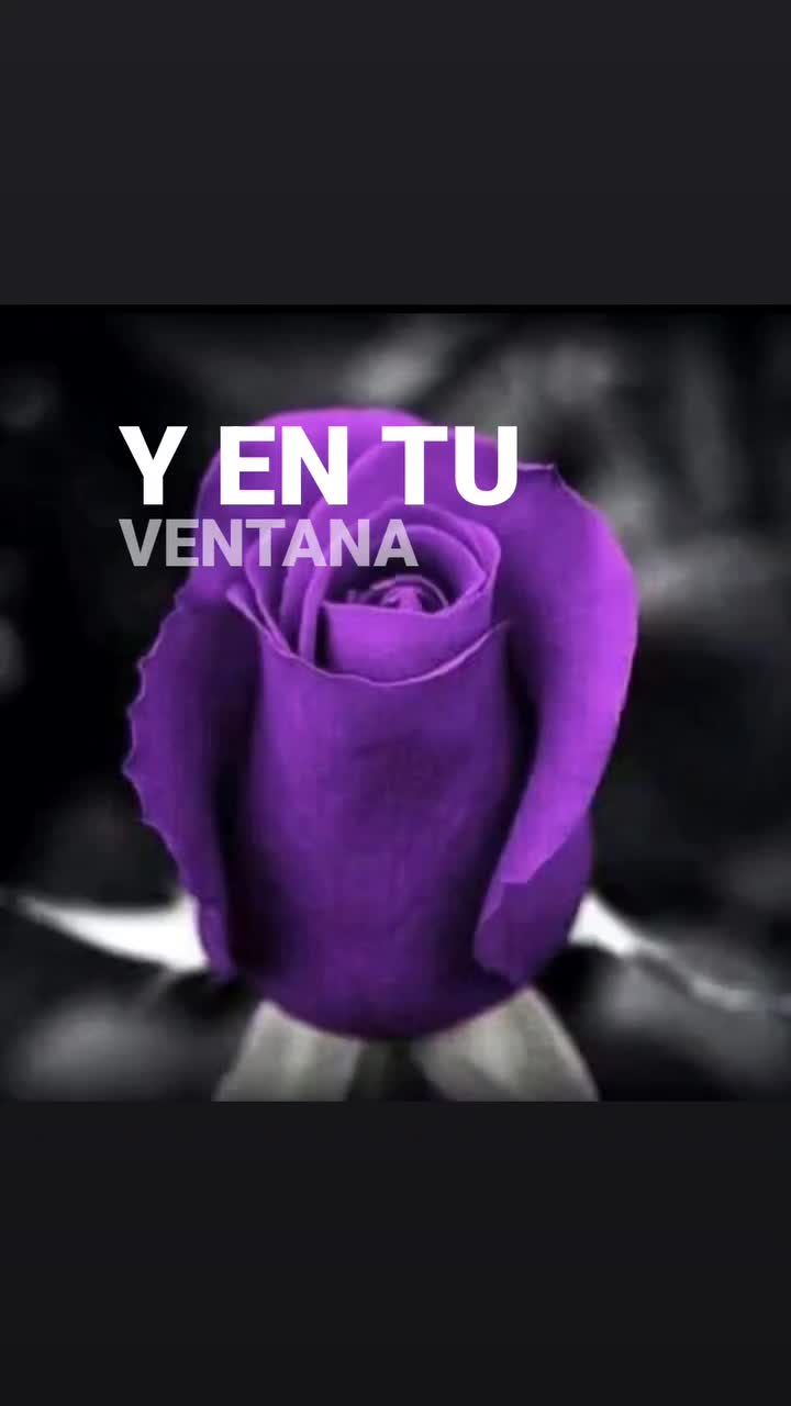 @Kaspi78 Yolanda