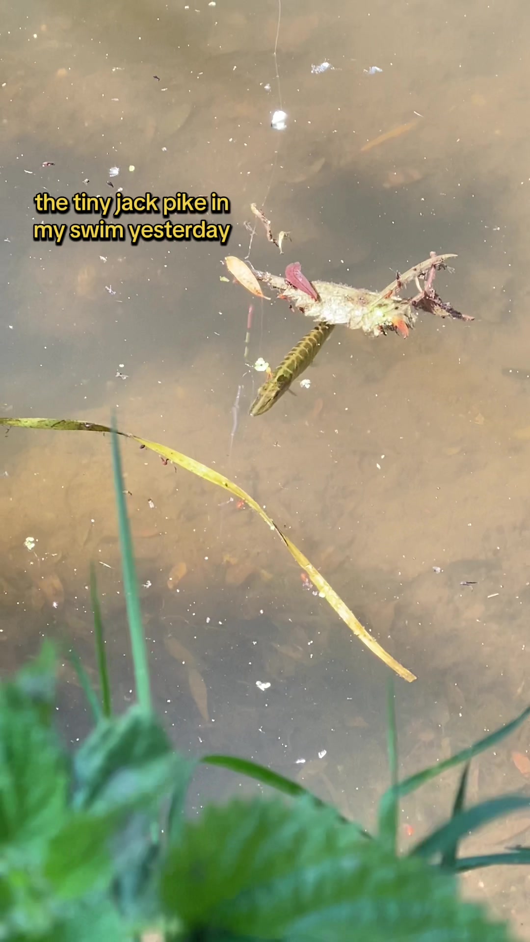 @🎣