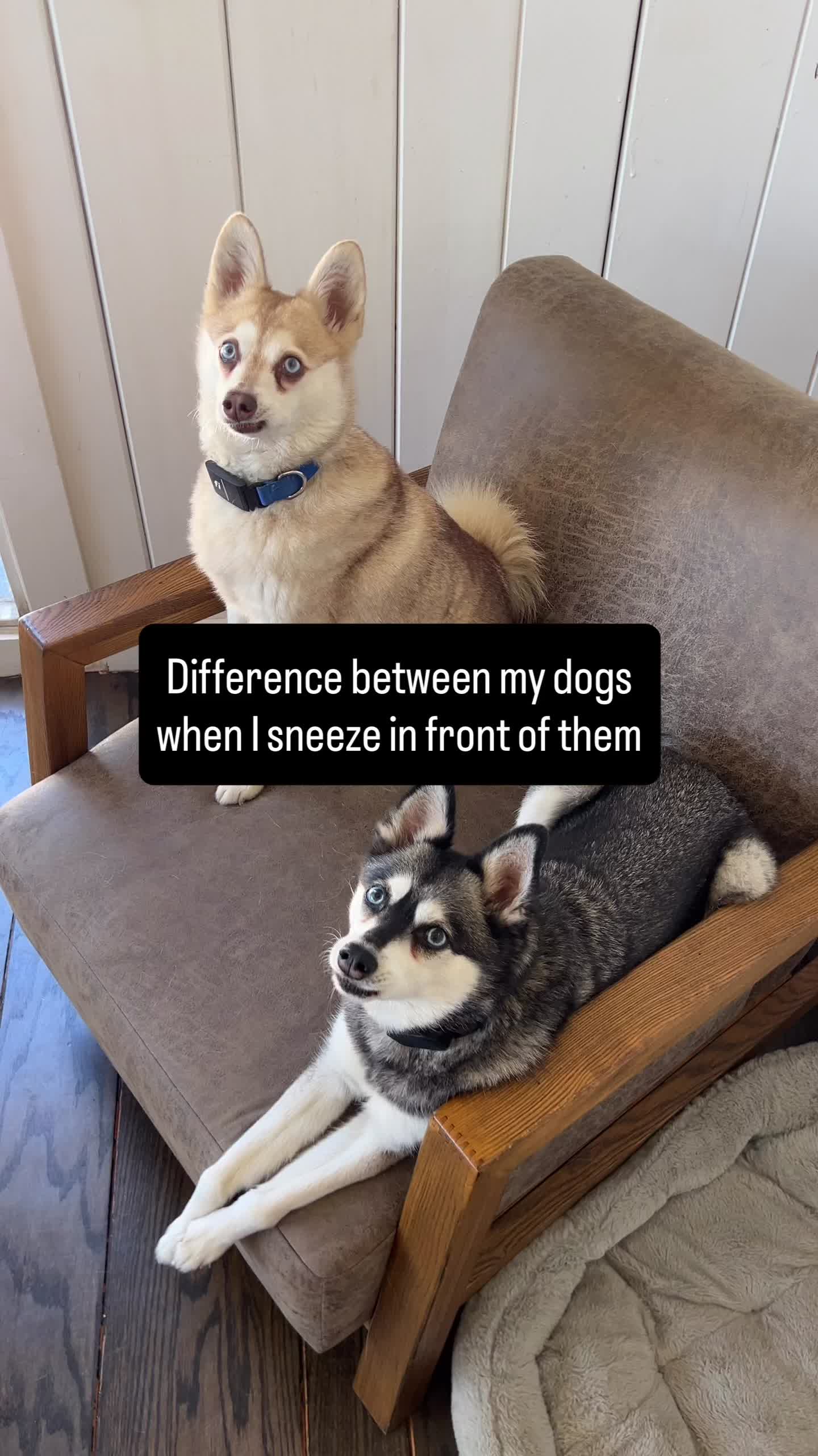 @lifewithkleekai