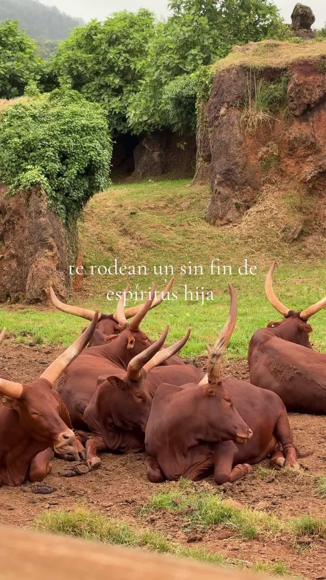 @Nenalox🩷