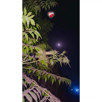 @فہد < ❤️&zwj;🩹