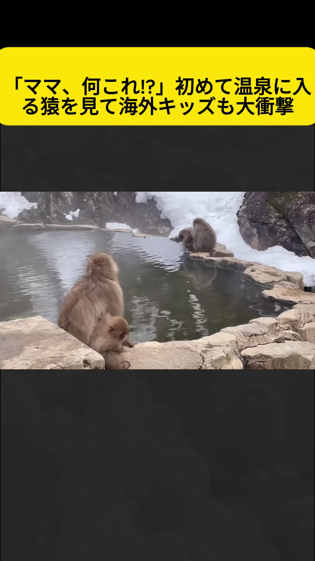 @user12314566786868