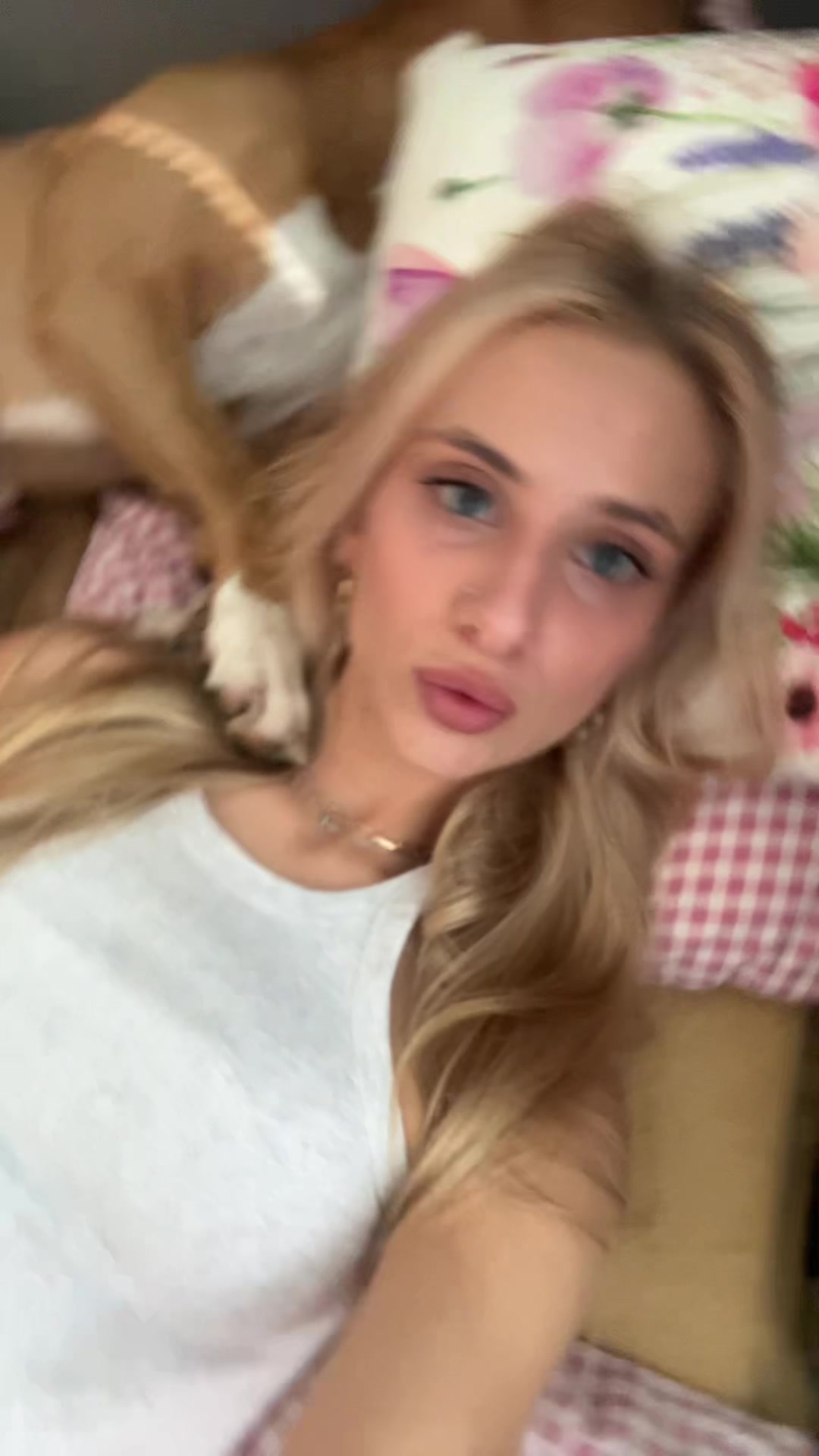 @baja
