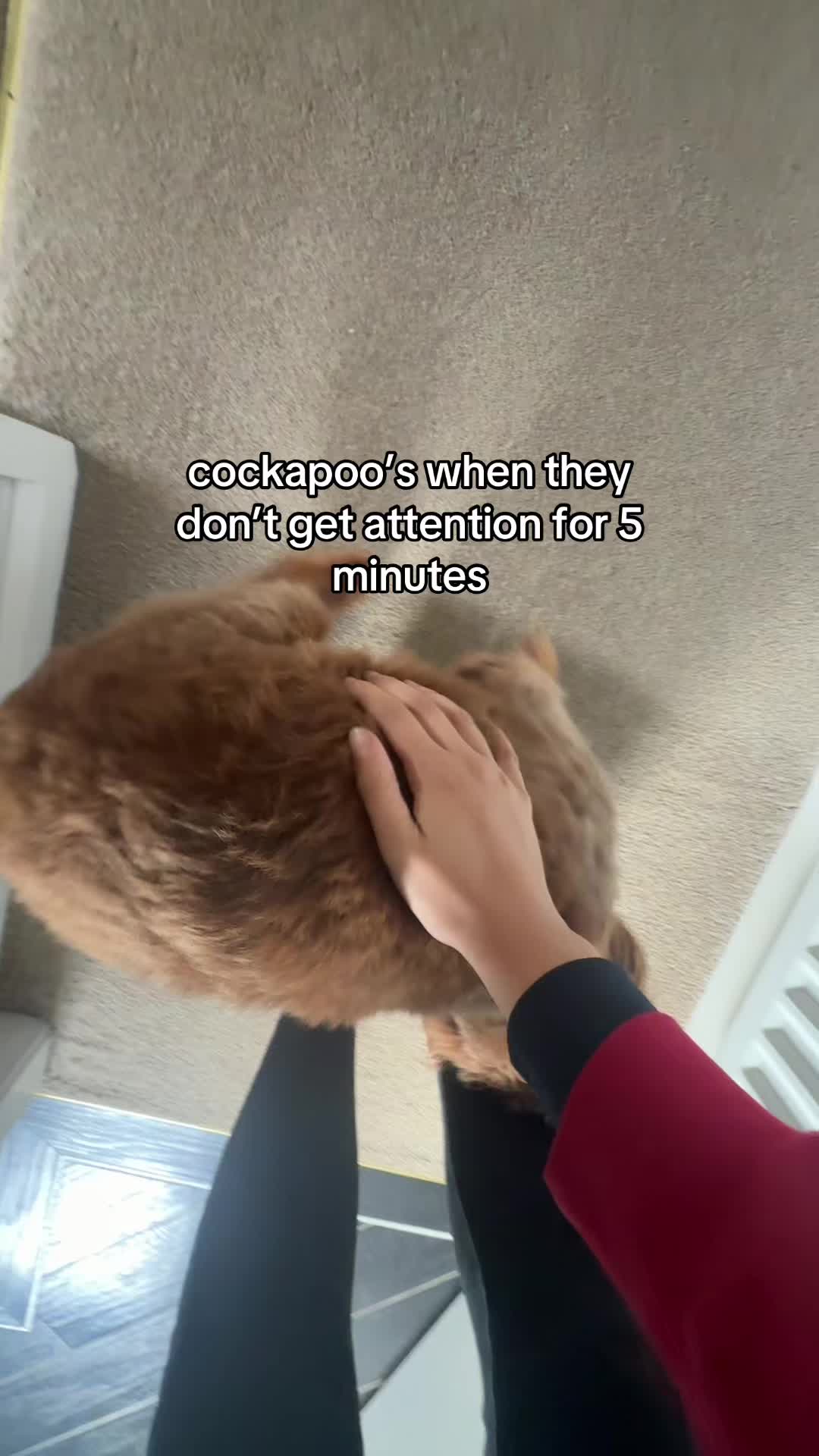 @kazspam
