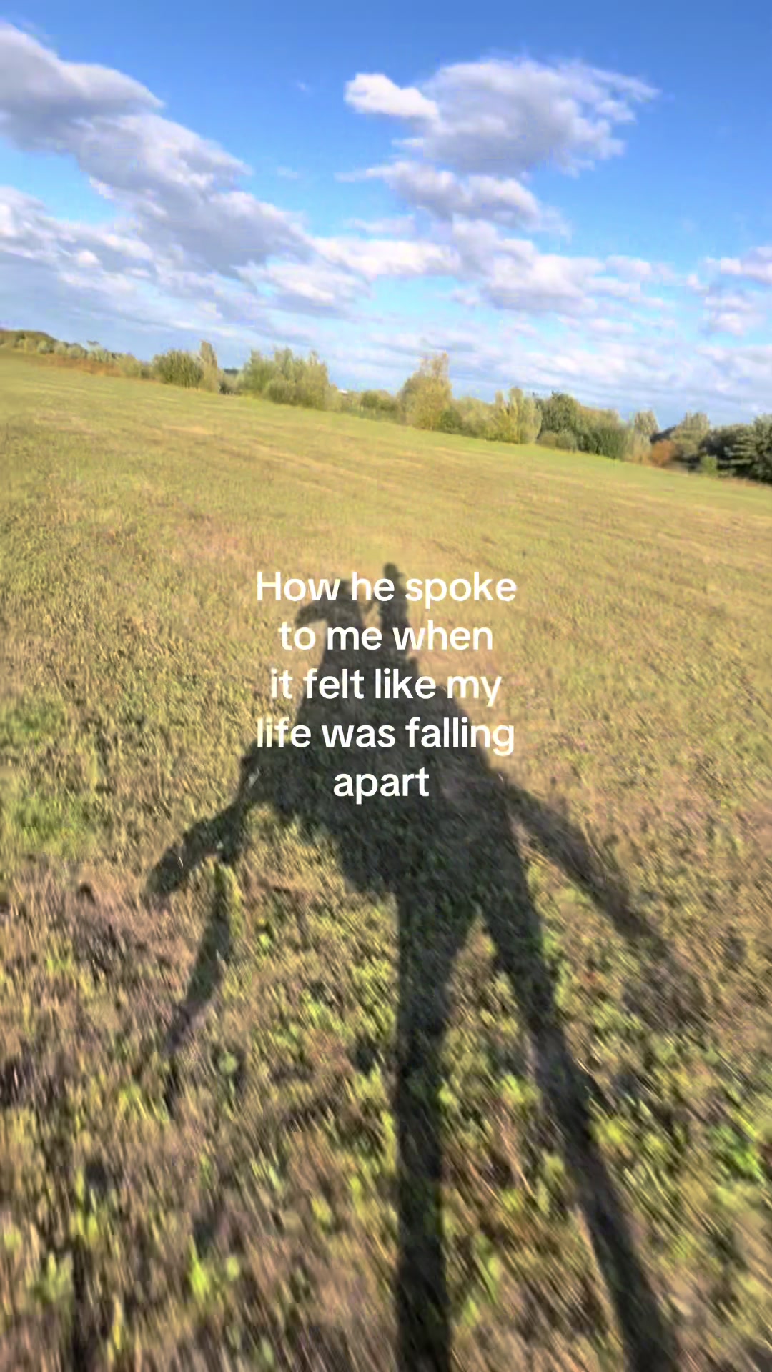 @🥂🐎🦢