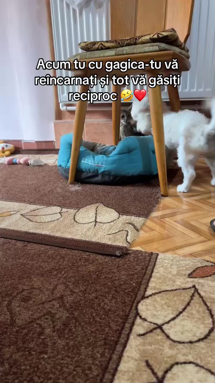 @maria_ecaterina