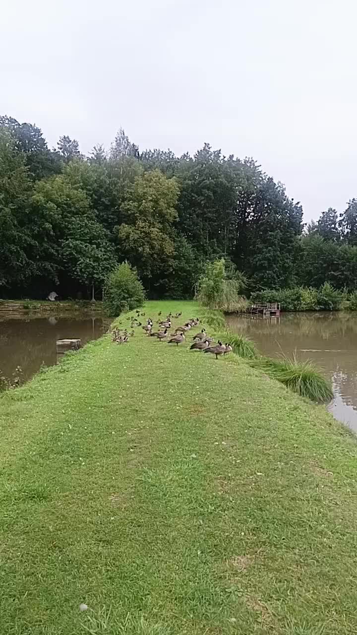 @Ciotârcă Ovidiu!