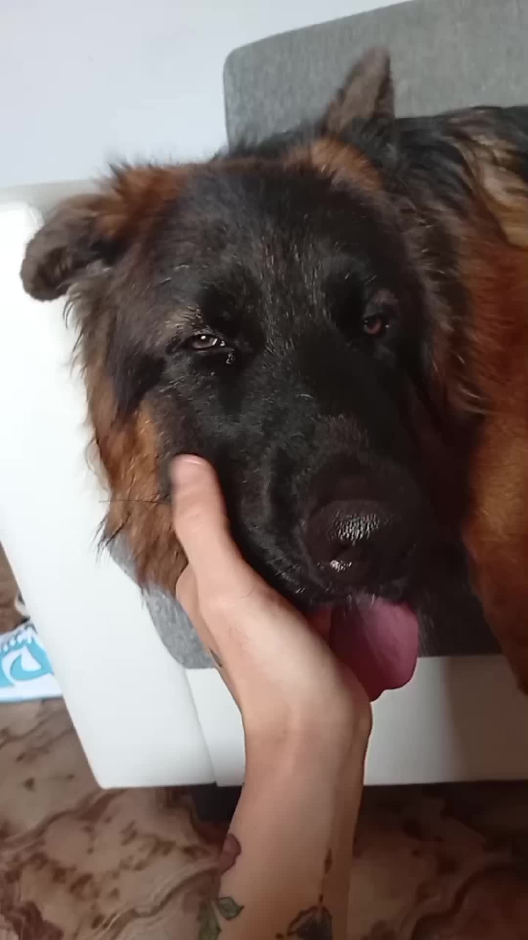 @𝐠𝐢𝐨𝐫𝐠𝐢𝐚