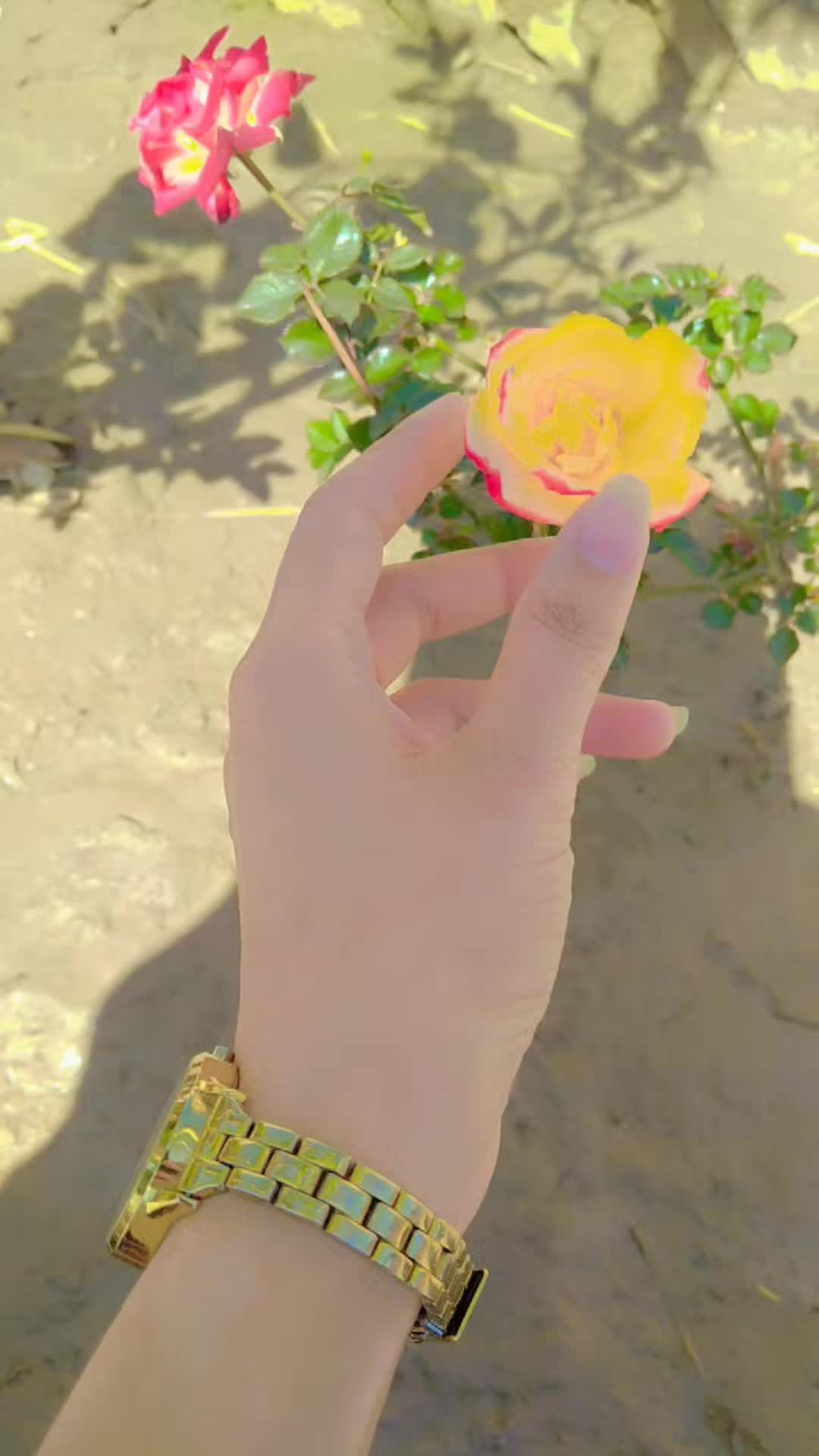 @Mantasha_zahra🥀
