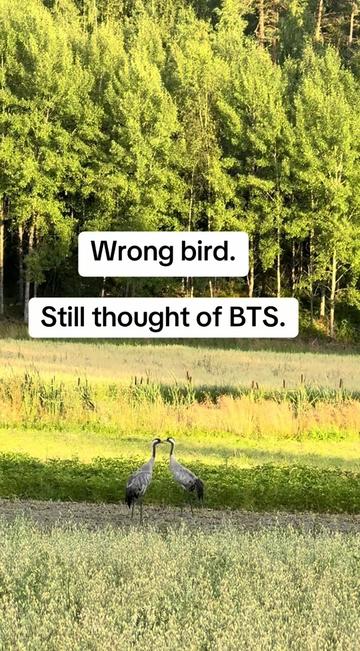 @Ninette
