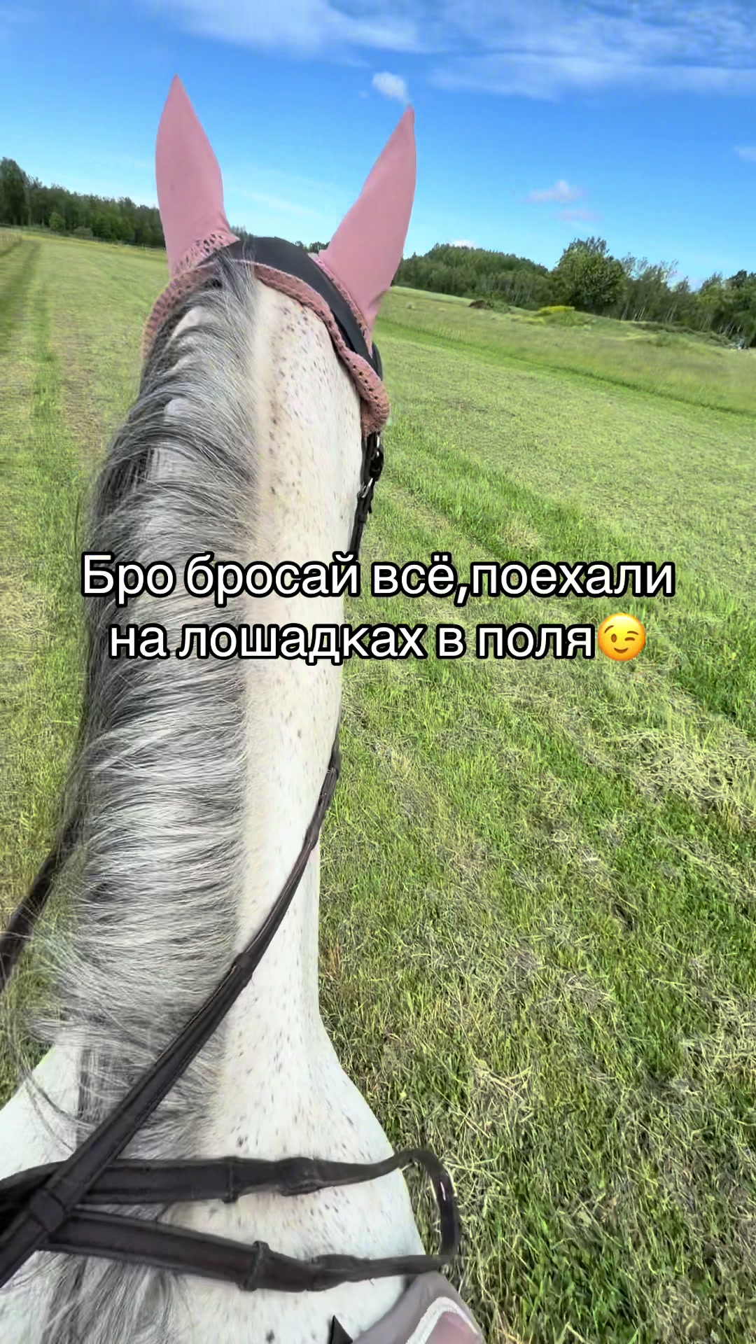 @𝐦𝐨𝐫𝐤𝐨𝐯𝐧𝐢𝐜𝐚🥕 ྀིྀ
