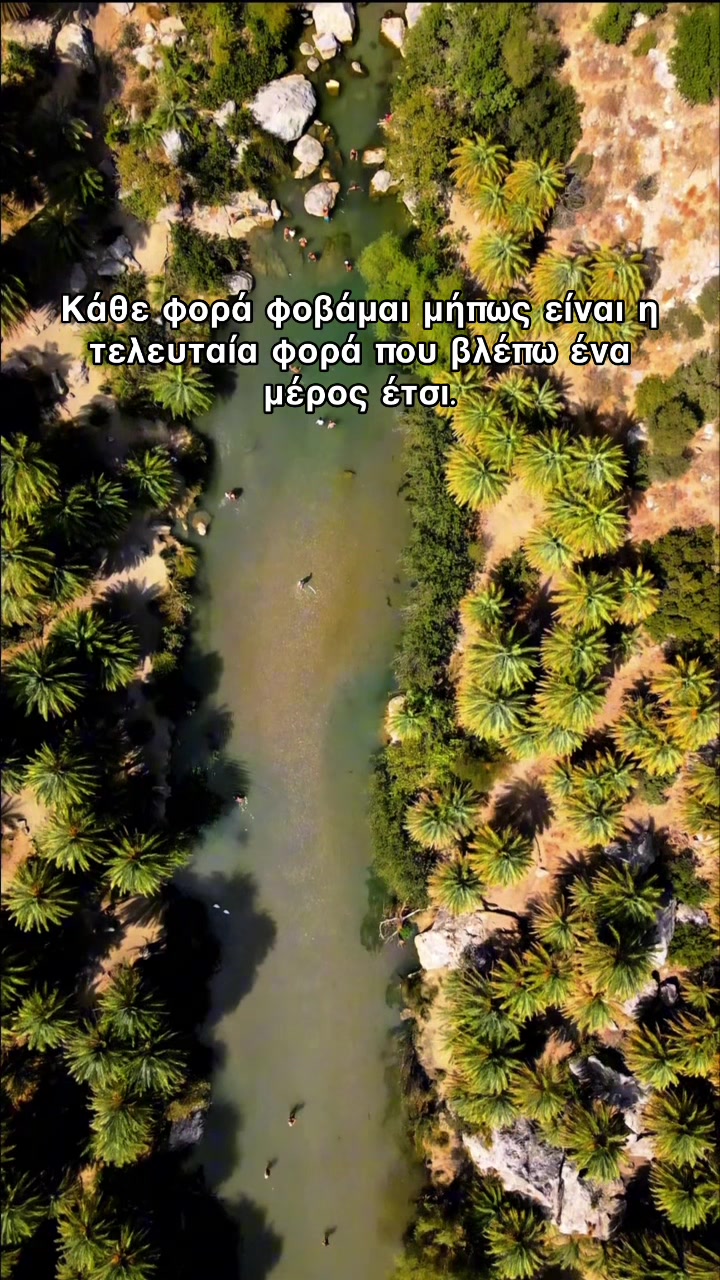 @Dimitris Karvelis