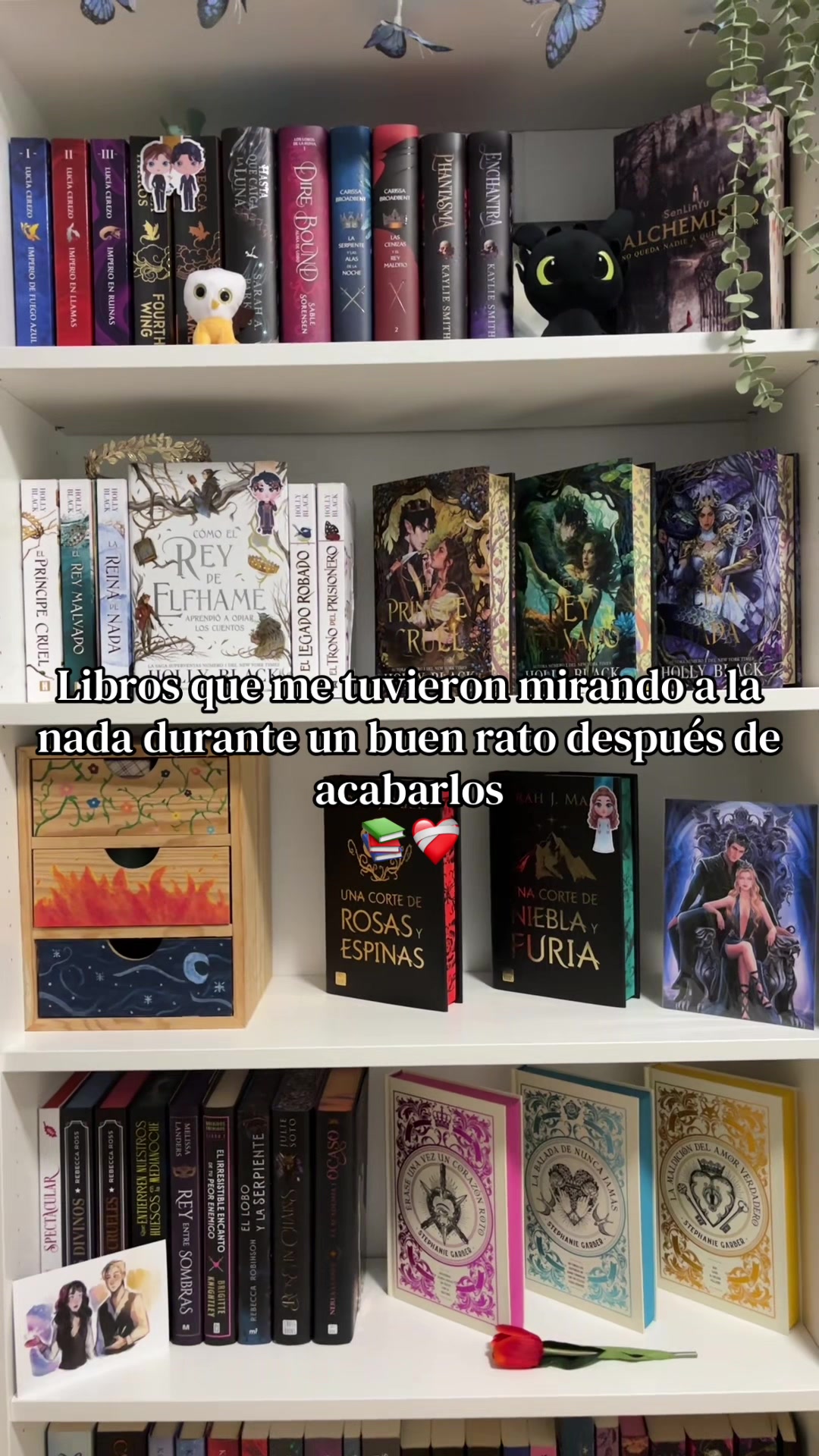 @Thedarkmoonbooks🌙✨