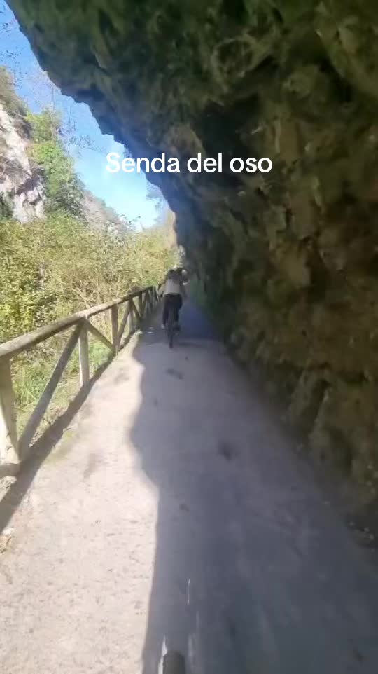 @Dejandohuella🏔️📸