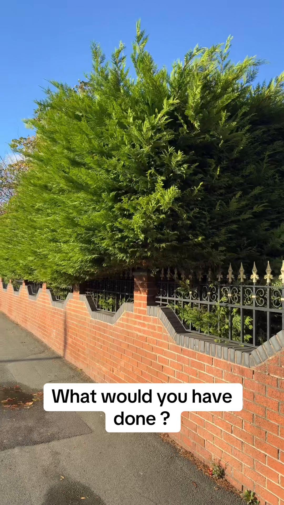 @GardenStyle