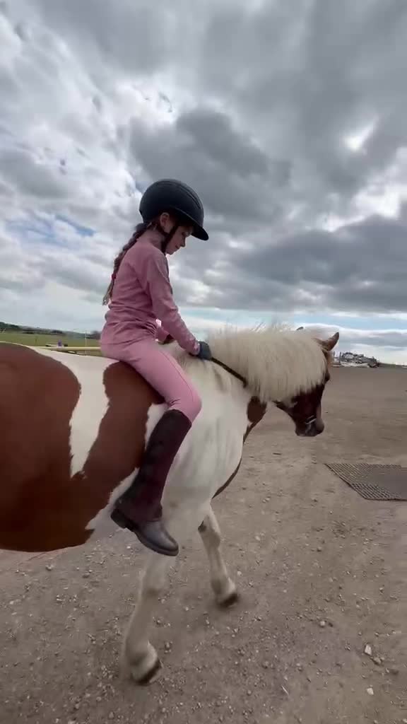 @LottiesHorseAdventures🦄🐴