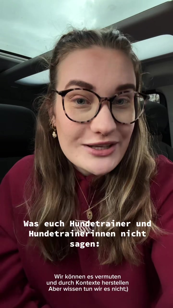 @Antonia | Hundetrainerin
