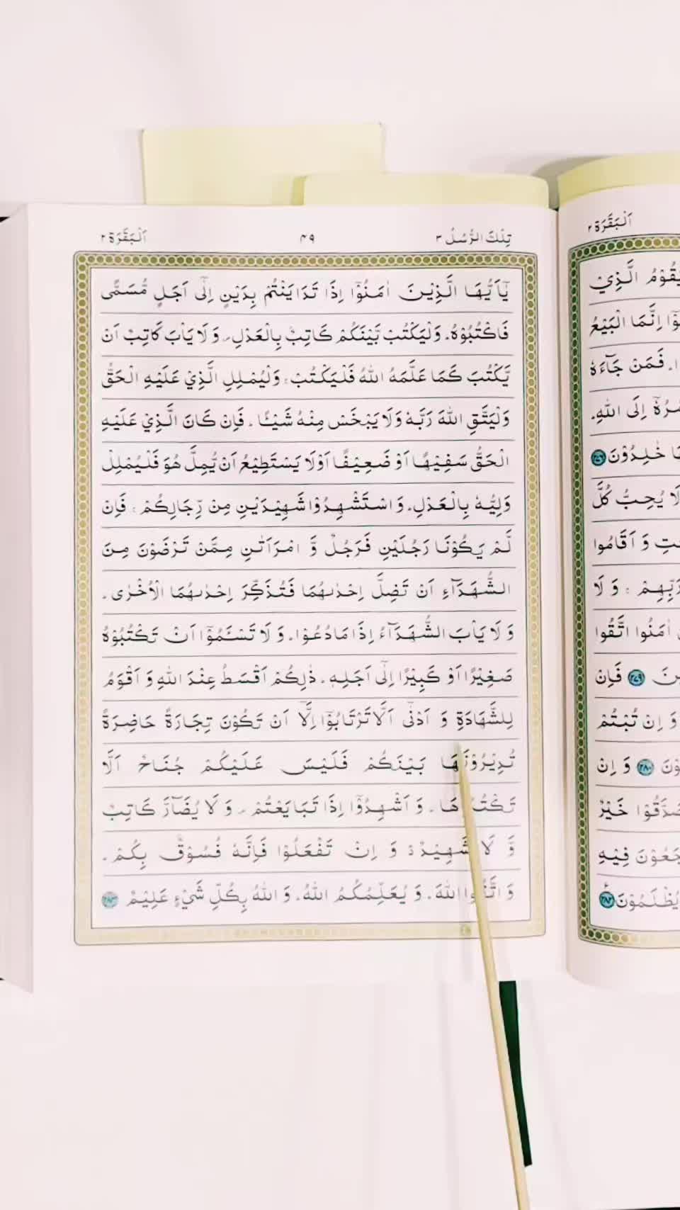@Quran's Faizan