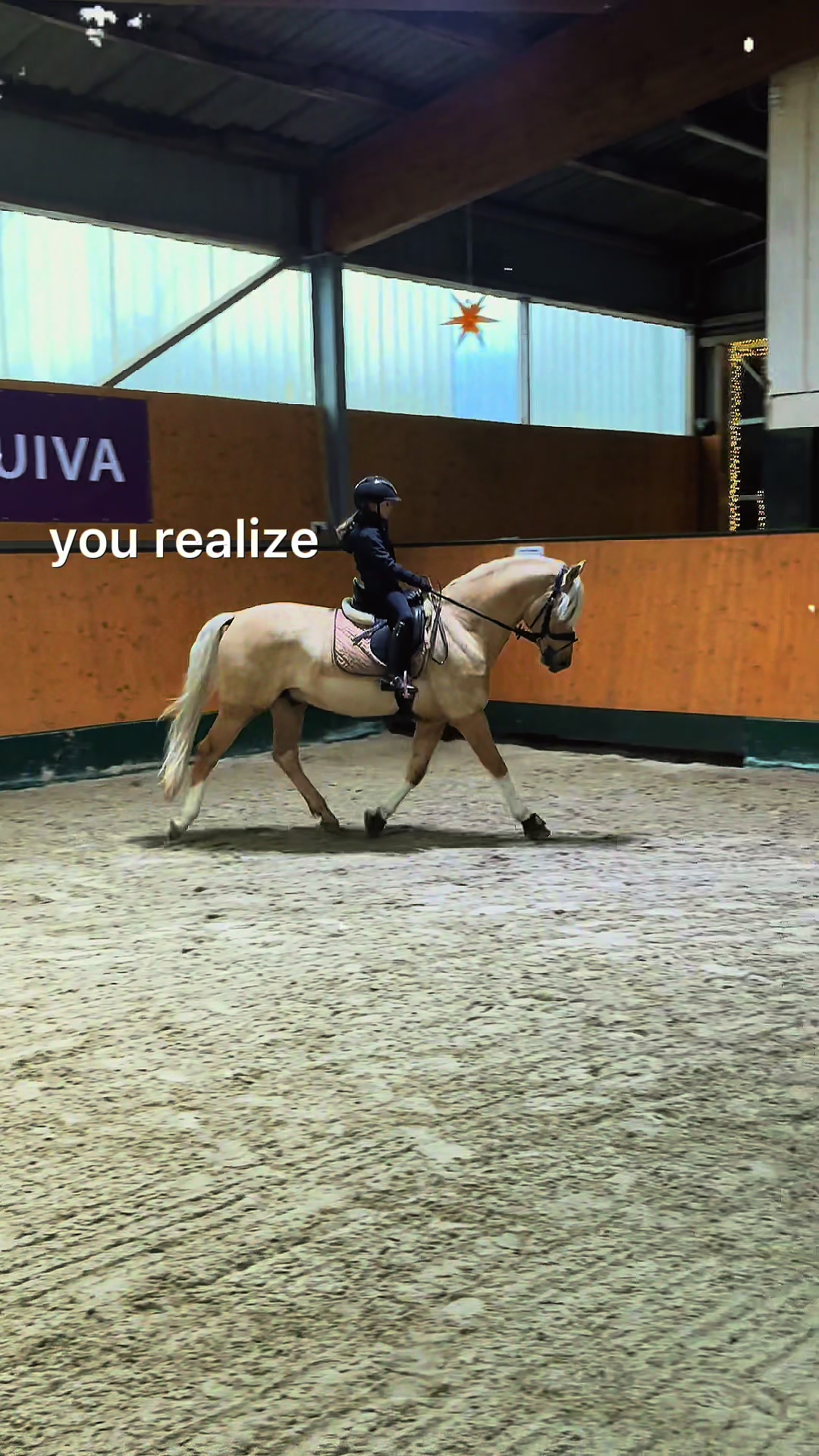@Shanea & ihre Ponys ♥️🐴