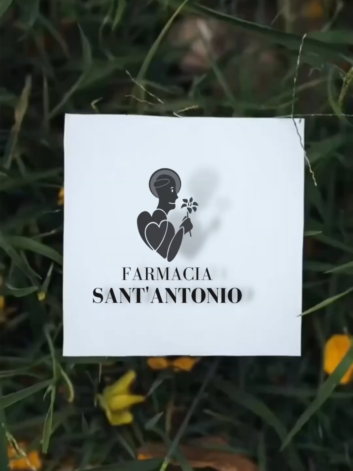 @Farmacia Sant'Antonio