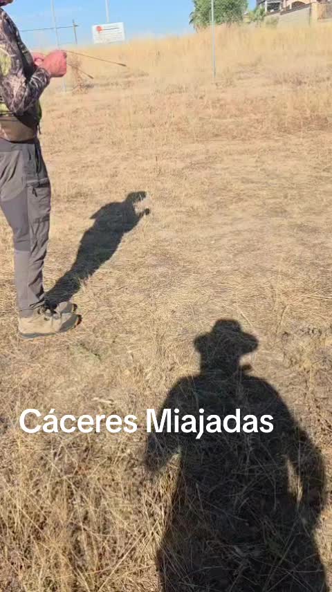 @Zahori Blas Moreno