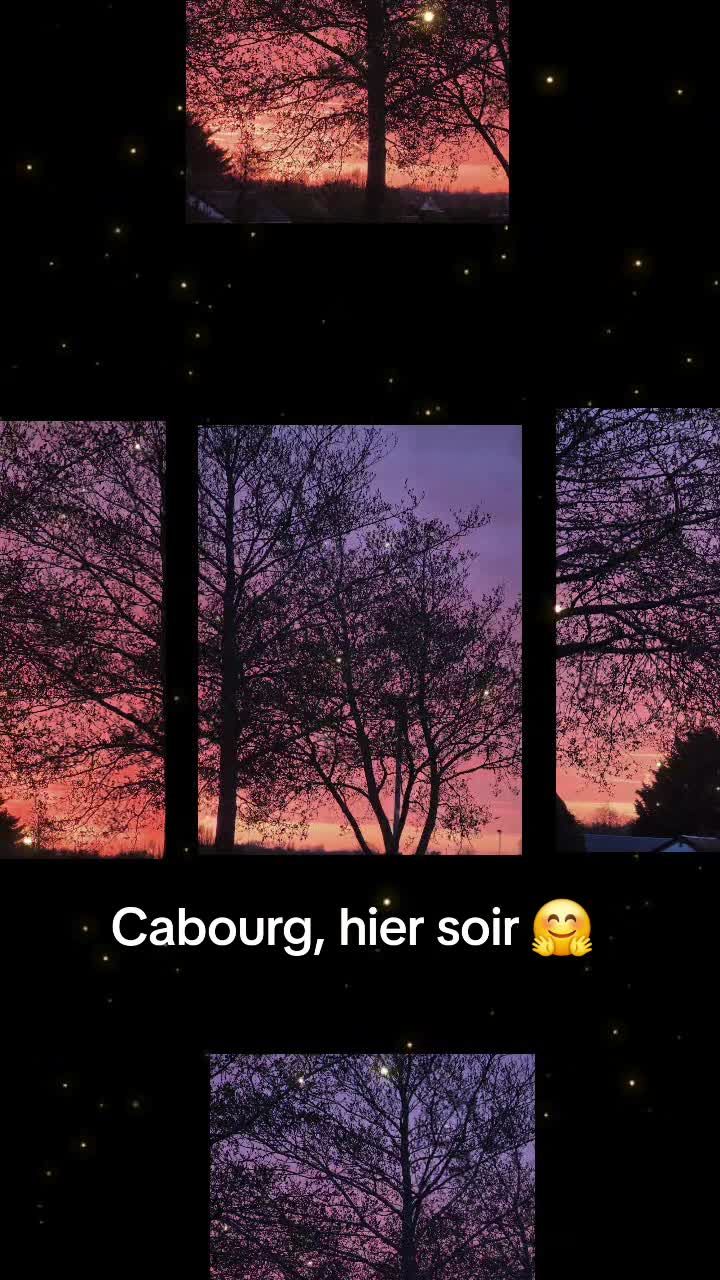 @alexandra 2007