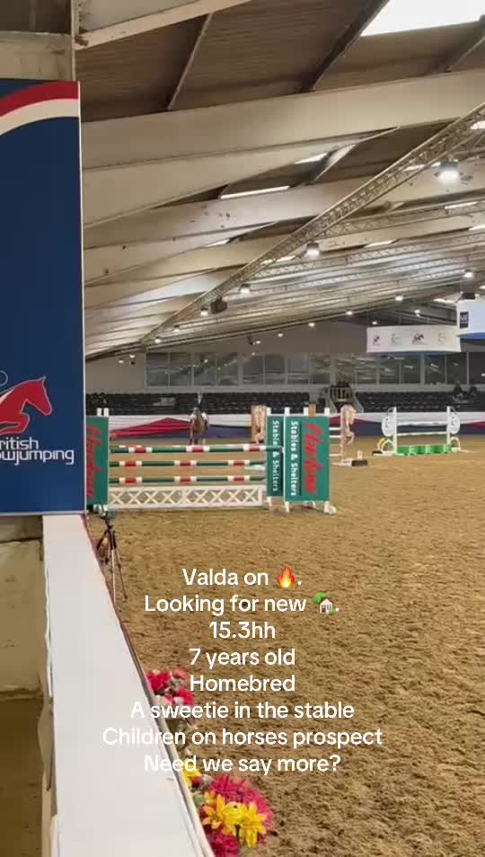 @markedwardsshowjumping