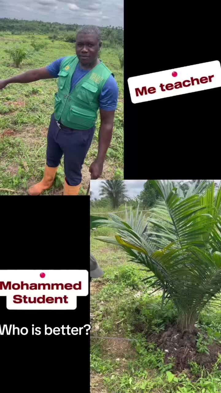 @BabaObaTv @Yuki Agro limited